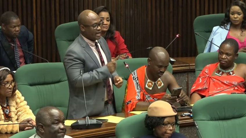 MPs listen as Nhlambeni MP Manzi Zwane raises some questions inside the House. 